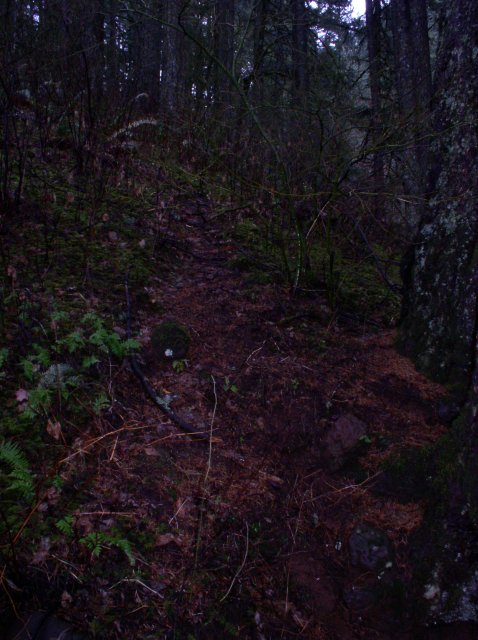 12.27.05 Triple Falls 008 